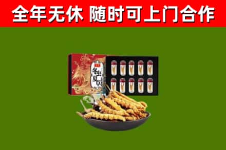 江华回收冬虫夏草价格